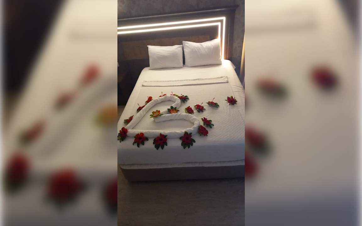 Zimmer Garden Of Sun