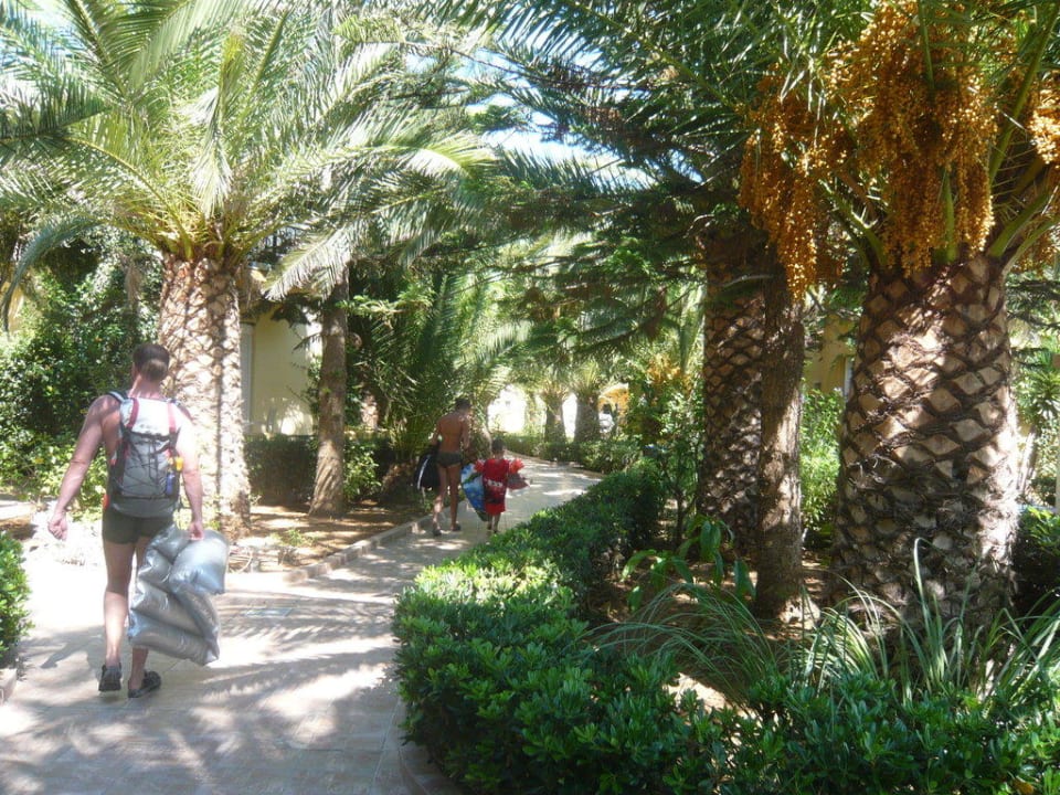 Gartenanlage Vantaris Luxury Beach Resort