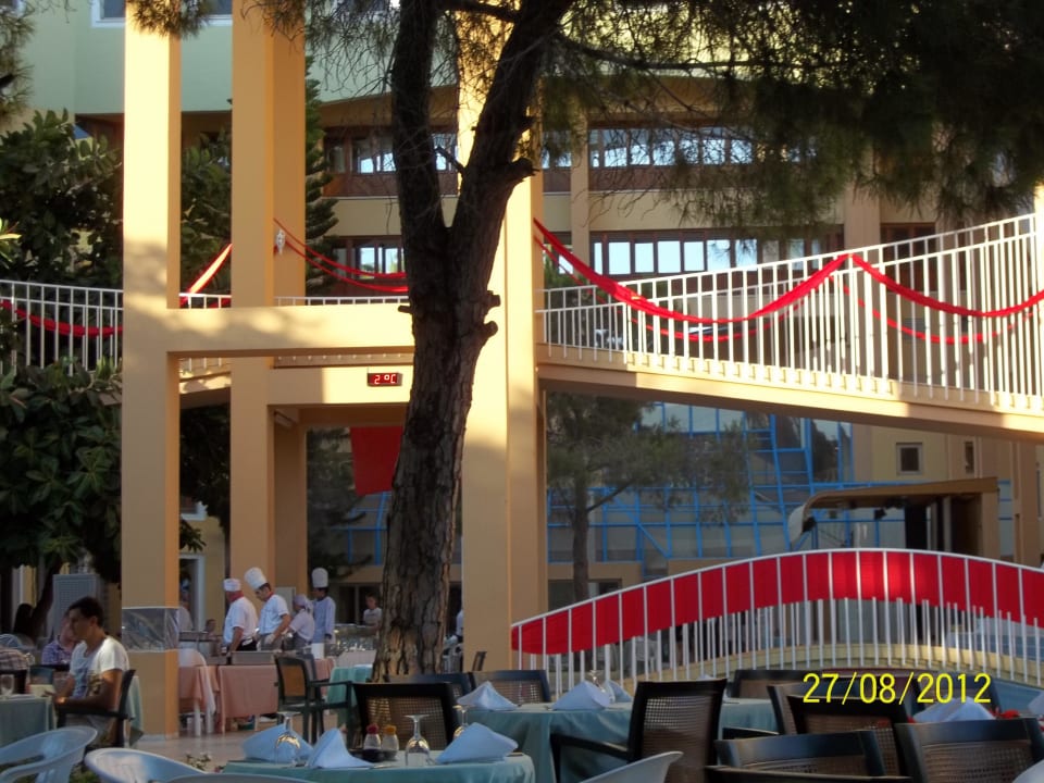 Galaabend Asteria Collection Side