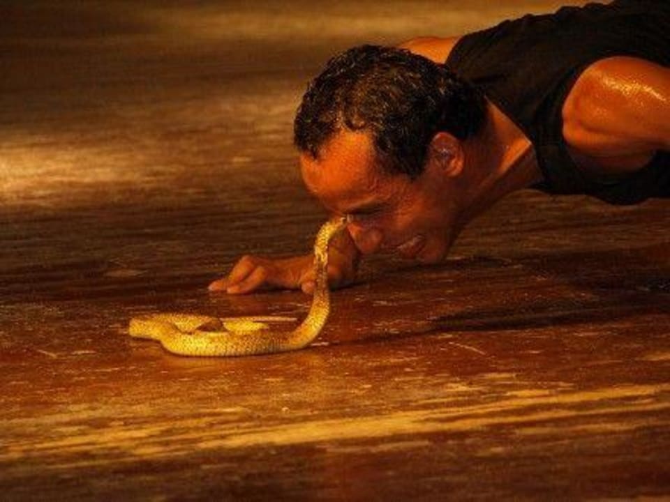 Cobra Show 2 Pickalbatros Dana Beach Resort - Hurghada