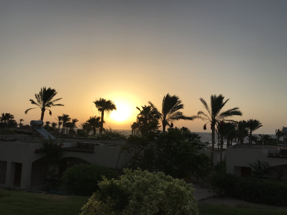 Ausblick Parrotel Beach Resort