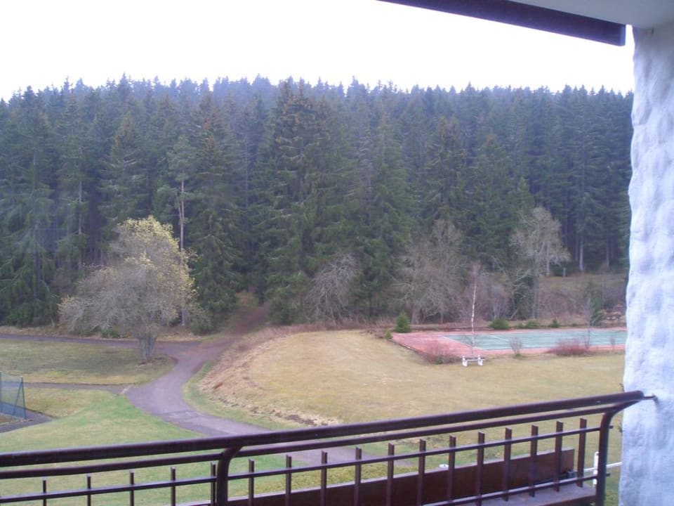 Ausblick vom Balkon Schwarzwaldhotel Ruhbühl