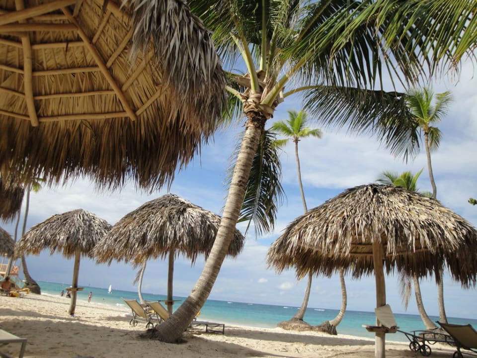 Traumstrand unter Palmen JOIA Bávaro by Iberostar