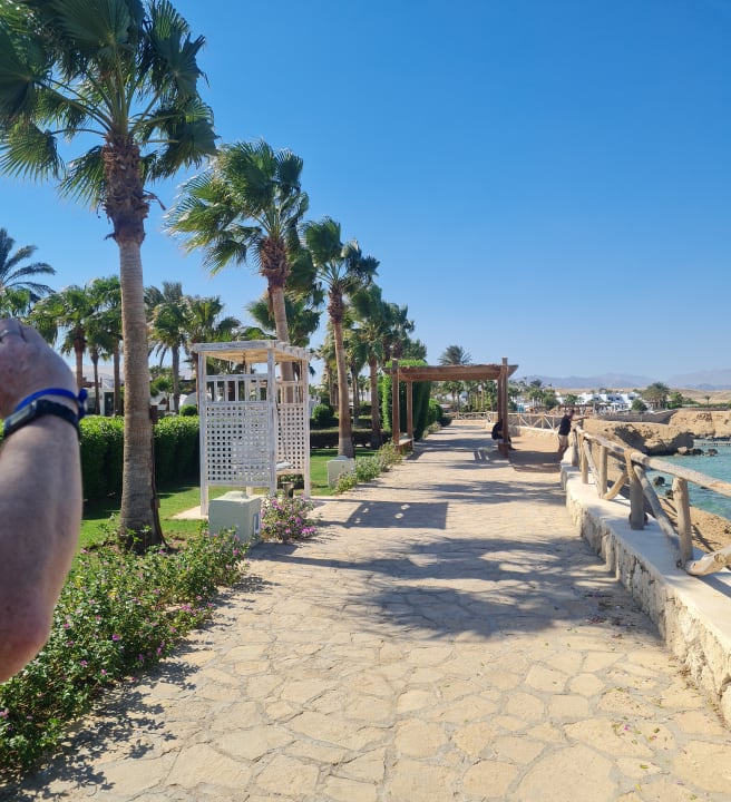 Strand Sharm Club Beach Resort