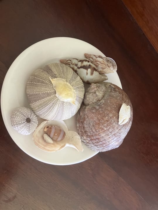 Sonstiges Neptune Palm Beach Boutique Resort & Spa