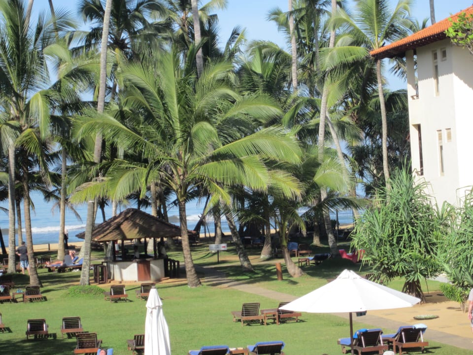 Blick zum Strand Mermaid Hotel & Club