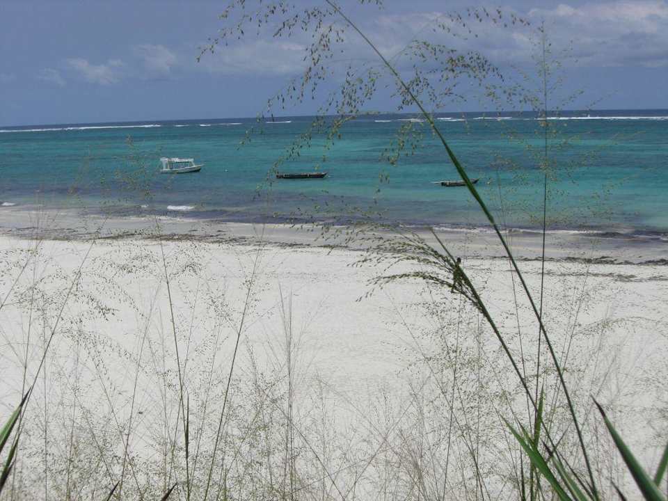 Blick zum Strand Baobab Beach Resort & Spa