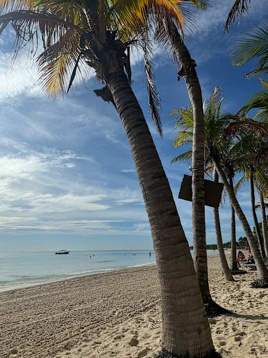 Strand Catalonia Playa Maroma