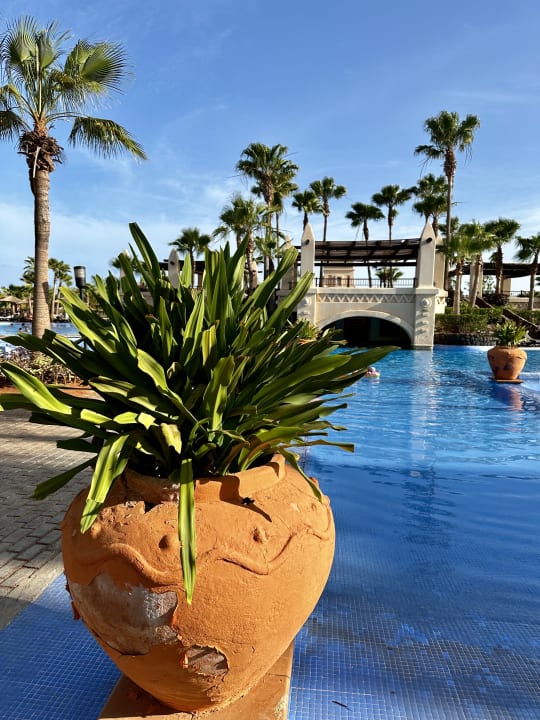 Pool Hotel Riu Touareg