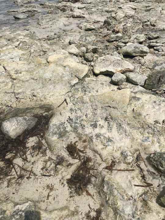 Strand Calimera Yati Beach