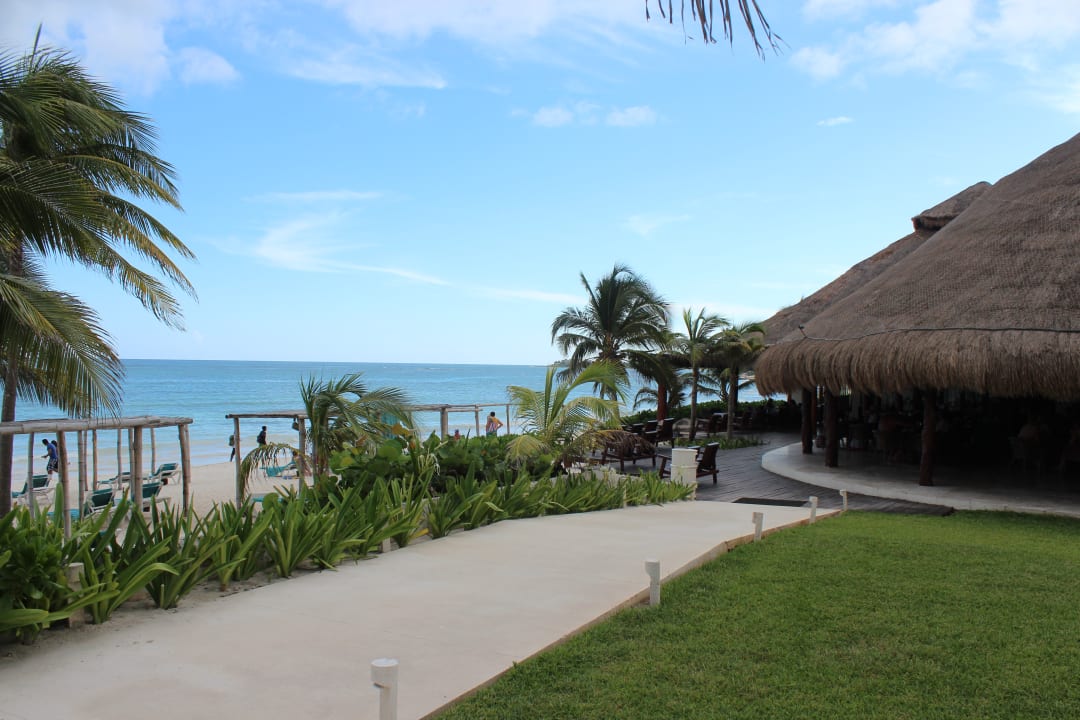 Gartenanlage Akumal Bay Beach & Wellness Resort