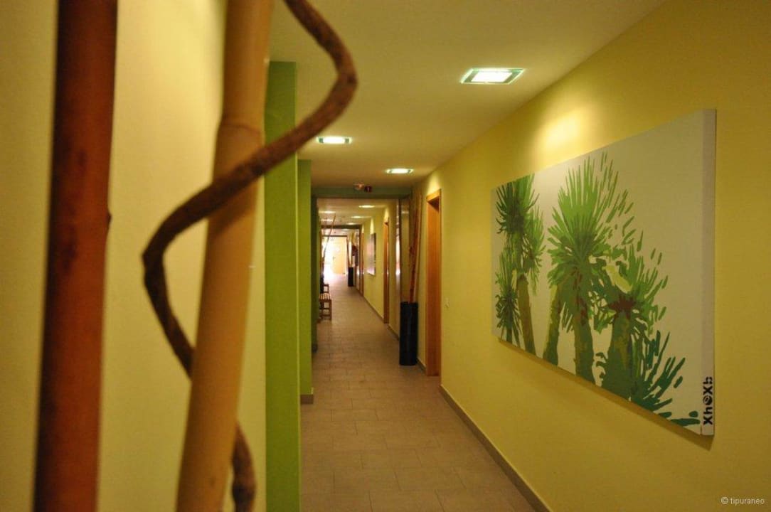 Zugang zu den Zimmern Apartamentos Cordial Mogán Valle