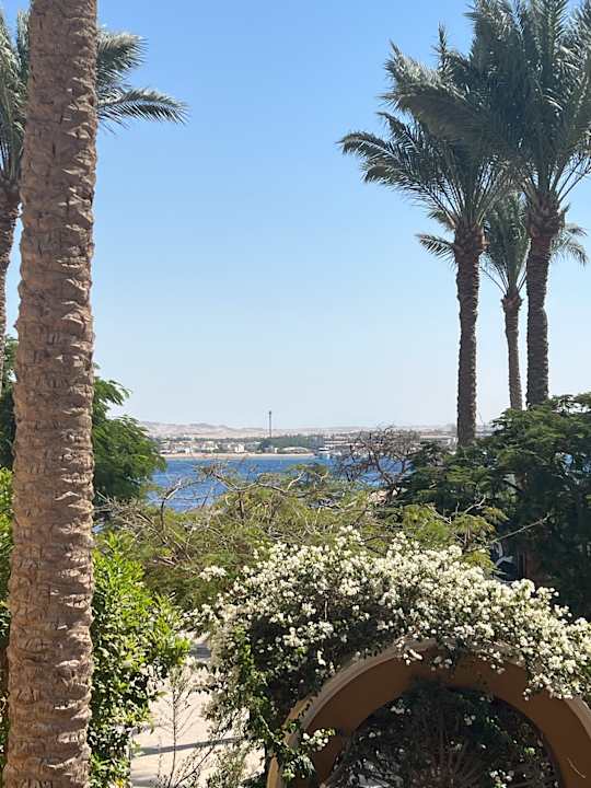 Gartenanlage Grand Waterworld Makadi & Family Star Makadi