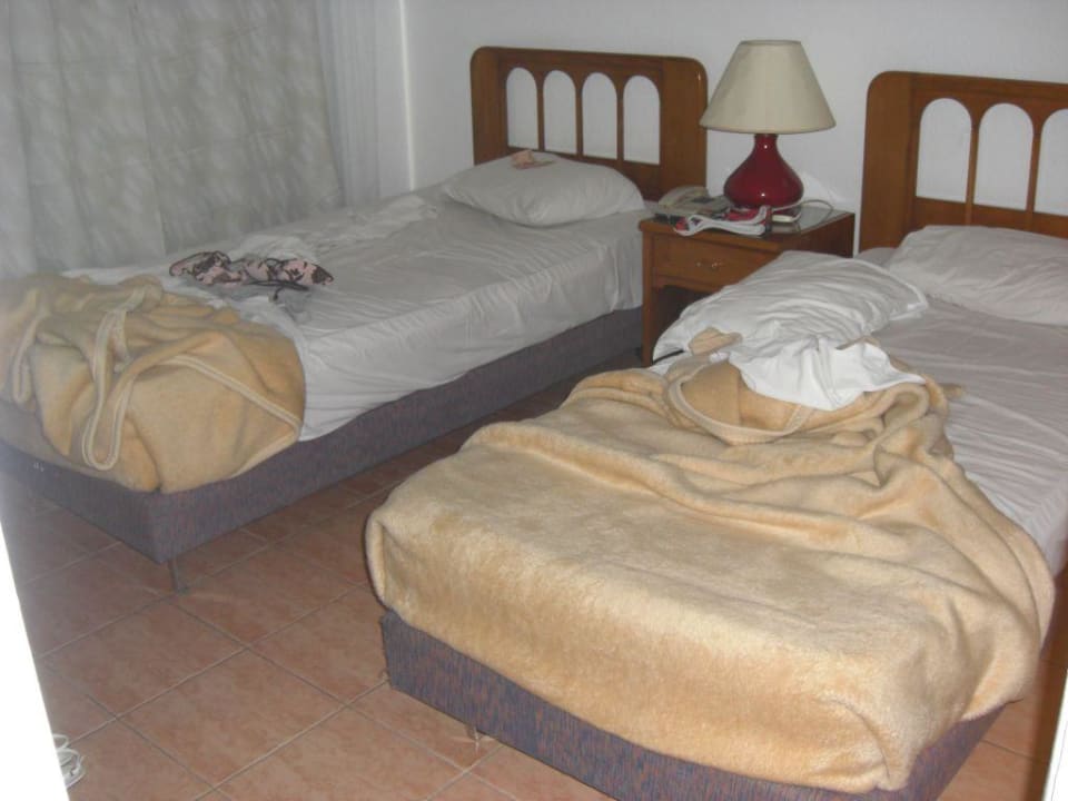 Zimmer Albatros Sharm Resort