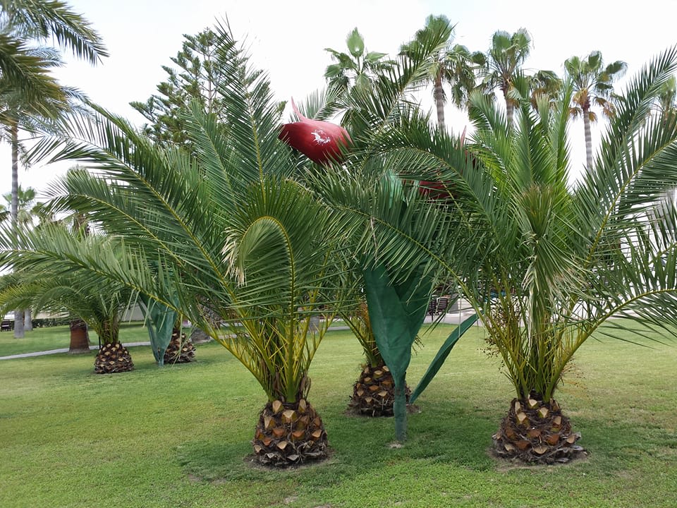 Gartenanlage Nerton Hotel - Erwachsenenhotel ab 16 Jahren