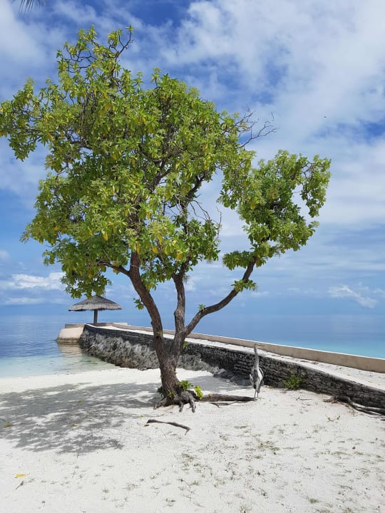 Strand Adaaran Select Hudhuran Fushi - Premium All Inclusive