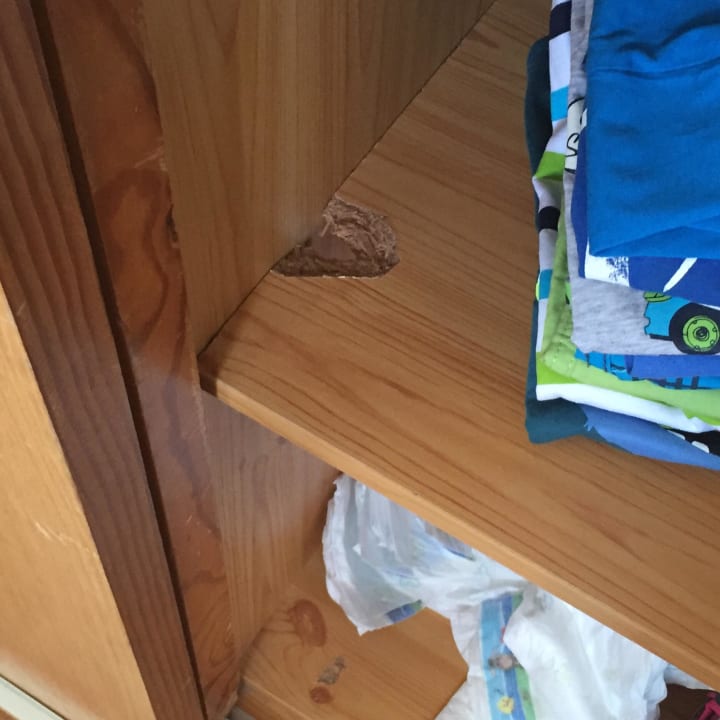 Einlegböden Kleiderschrank Globales Bouganvilla