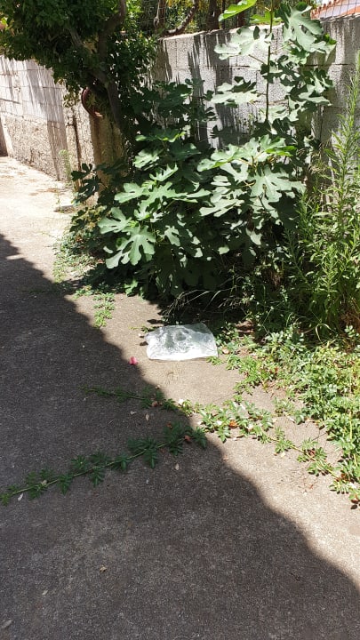 Gartenanlage Sardafit Nr. 158b - Terassenhaus