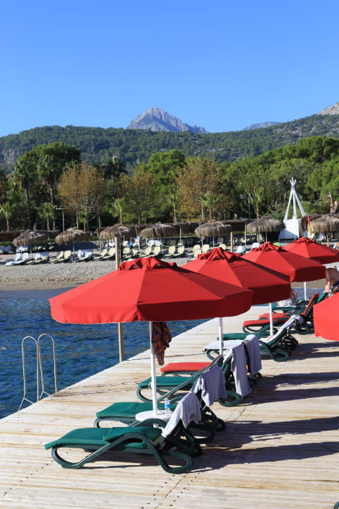 Strand Balmy Foresta