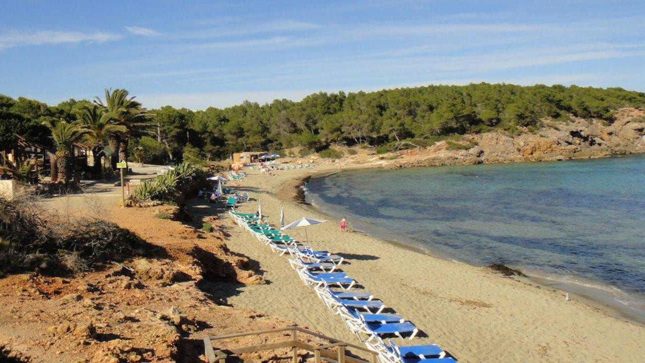 Kleinod ein paar Meter weiter Moon Dreams Coral Beach