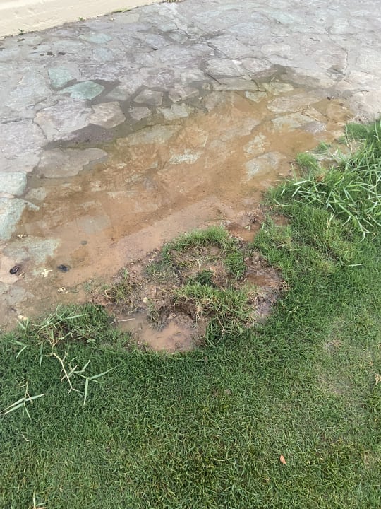 Gartenanlage TUI SUNEO Chrissi Amoudia