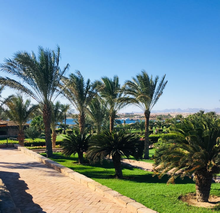 Gartenanlage Fort Arabesque Resort, Spa & Villas