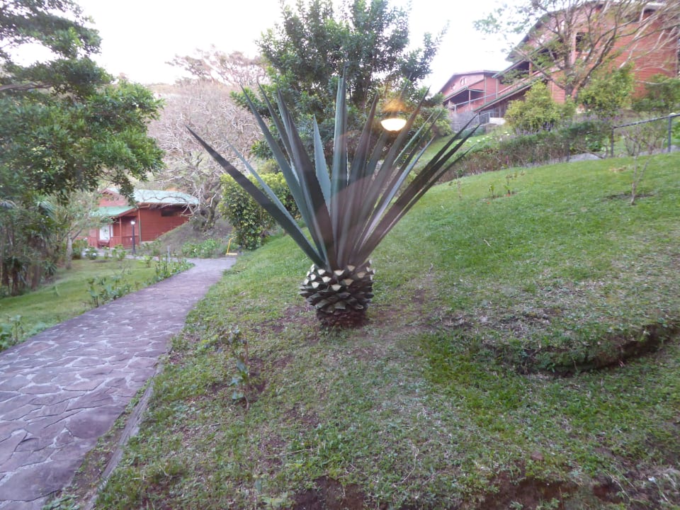 Blick hinters Haus Hotel Heliconia