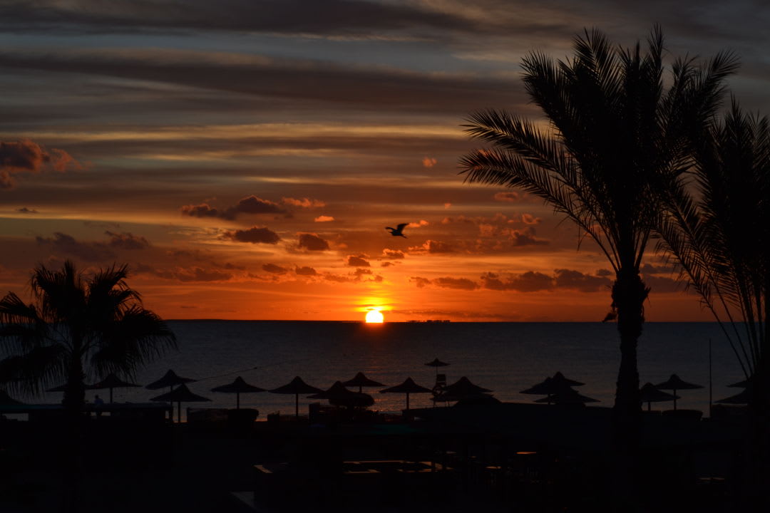 Ausblick Three Corners Sea Beach Resort