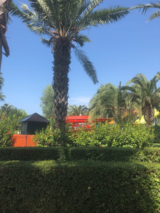 Gartenanlage Hotel Miramare Beach