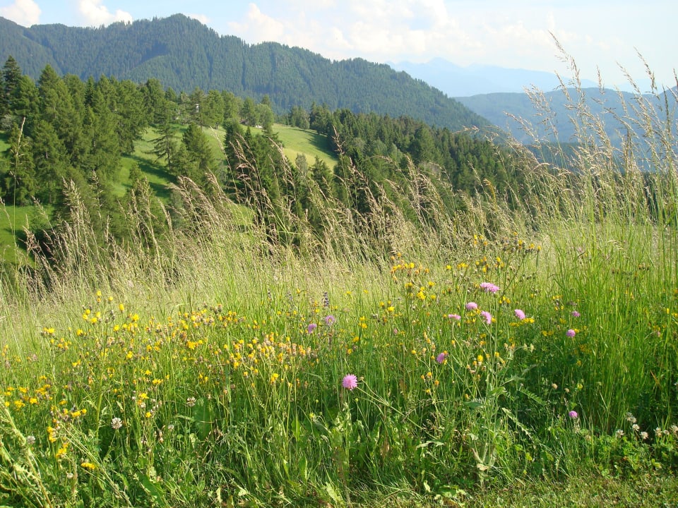 Relaxen Hotel Zirmerhof