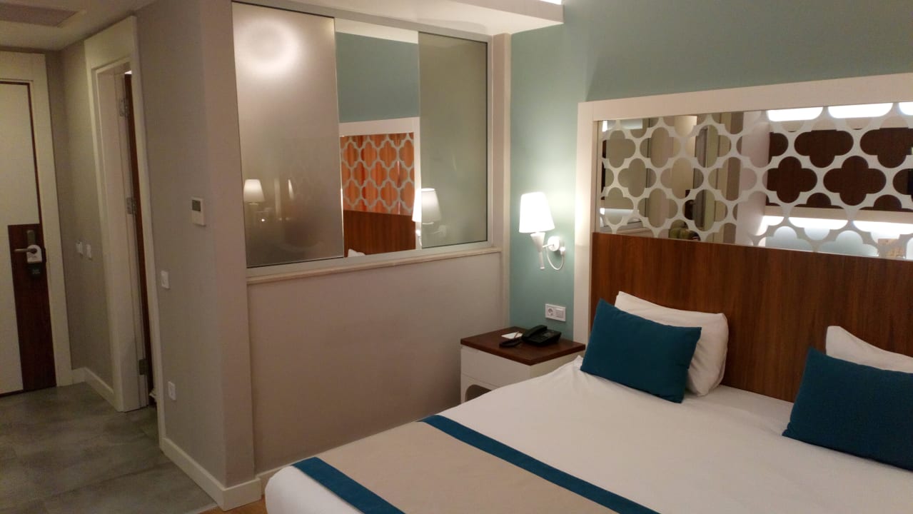 Zimmer Seashell Vega