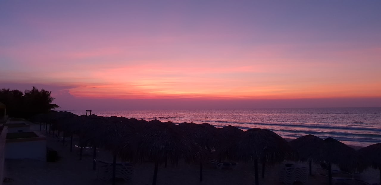Strand Starfish Cuatro Palmas