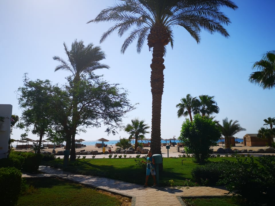 Gartenanlage Shams Safaga Resort