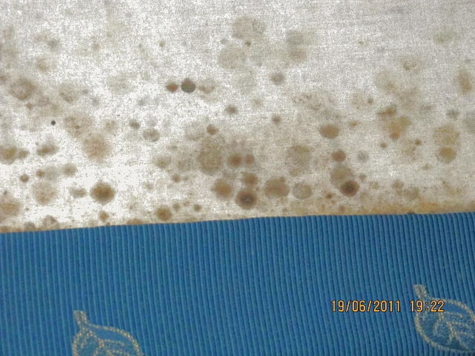 So wird man krank Duni Royal Pelican Resort