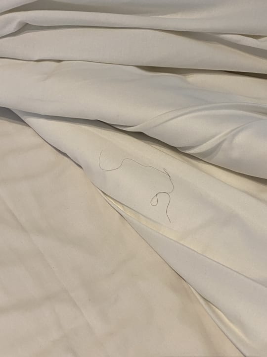 Zimmer Crystal Springs Beach Hotel