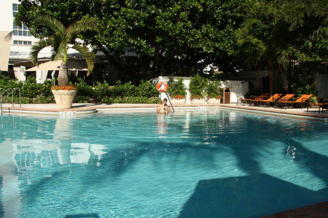 Pool The Palms Hotel & Spa