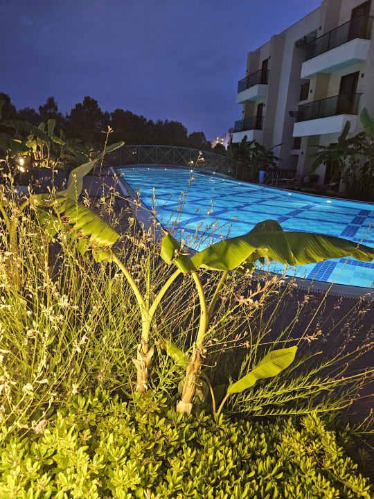 Pool Korumar Ephesus Beach & Spa Resort