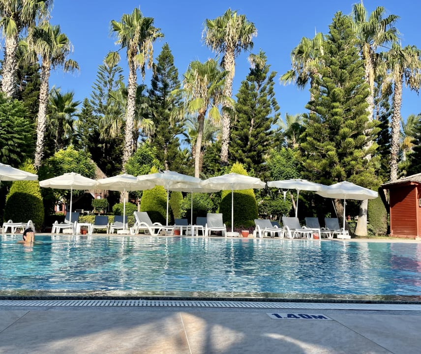 Pool Hotel Delphin Diva