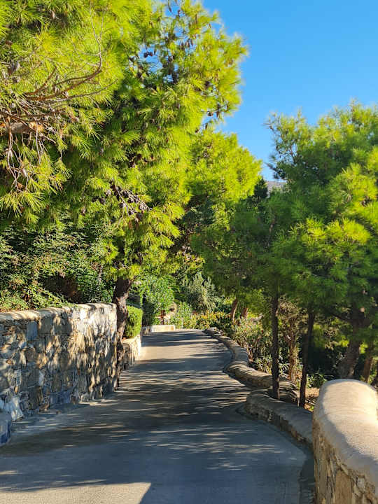 Gartenanlage Cape Sounio, A Grecotel Resort to Live
