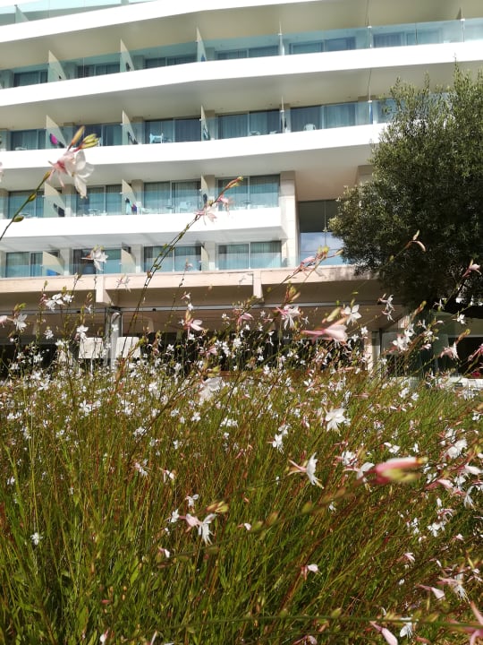 Außenansicht Hipotels Gran Playa De Palma