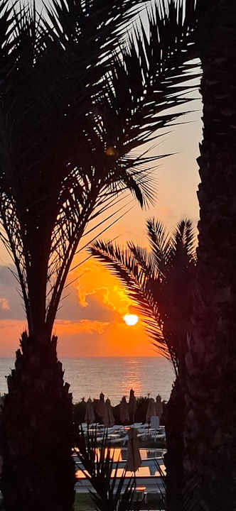 Ausblick Iberostar Waves Averroes