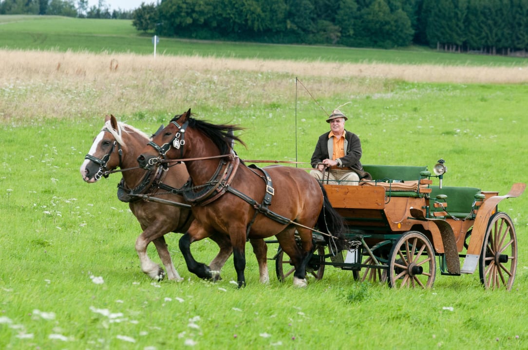Sport & Freizeit Bayerwald-Ferienhof Schmid