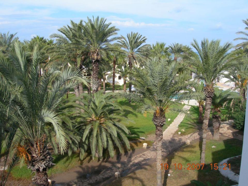 Widok ogrodu z pokoju Hotel Marhaba Club