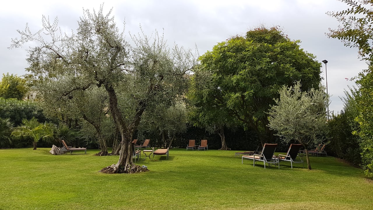 Gartenanlage Color Hotel