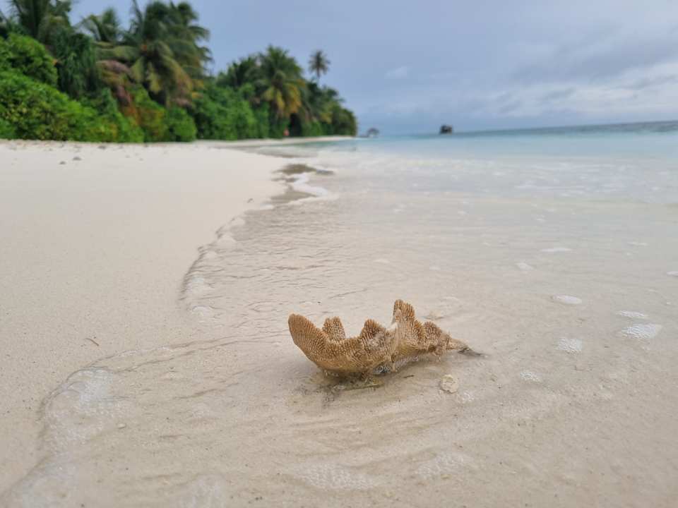 Lobby Pullman Maldives Maamutaa - All-Inclusive Resort - 50% off Domestic Transfers