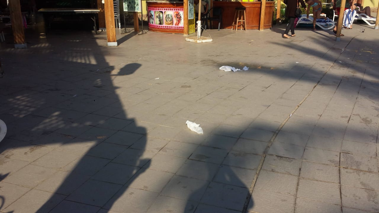 Zwischen Oasis, Tatoomensch und Pool Palm Beach Resort