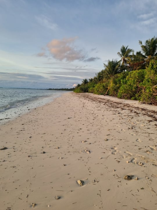 Strand Canareef Resort Maldives