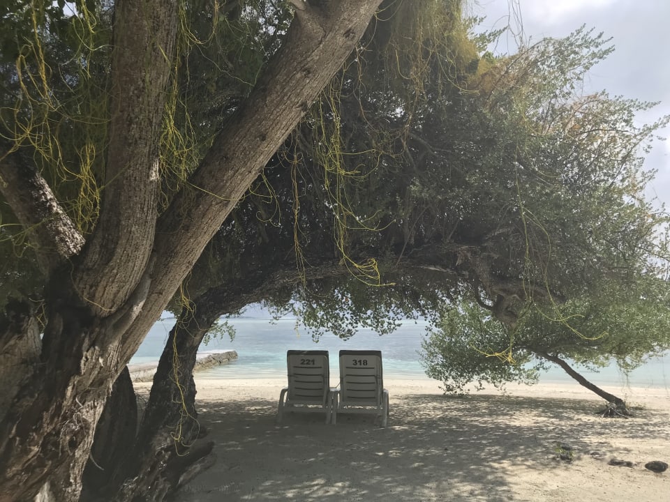 Hotel-Strand Adaaran Select Hudhuran Fushi - Premium All Inclusive