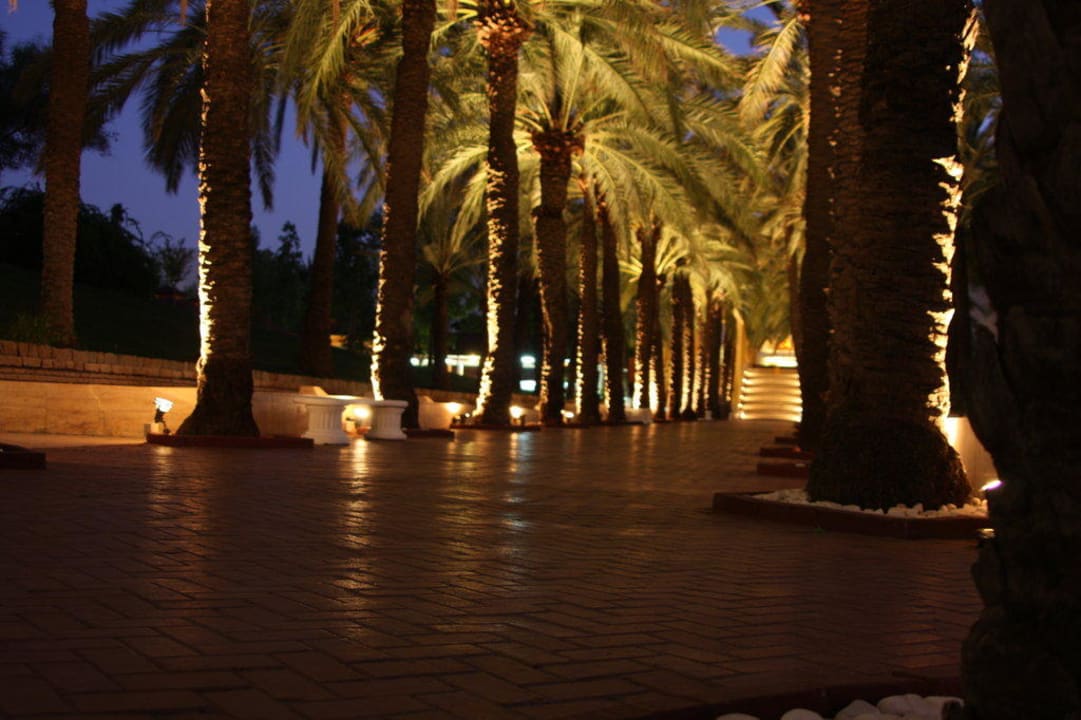 Palmenallee Monachus Family Resort Sorgun