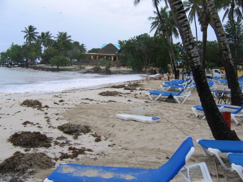 Plaża Dreams La Romana Resort & Spa